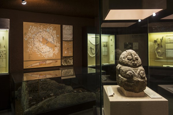 Exhibition in museum of the Pech Merle cave