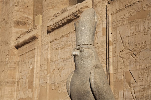 Statue of the falcon god Horus at the Temple of Edfu
