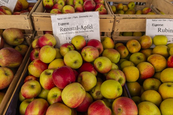 The range of different apple varieties is diverse