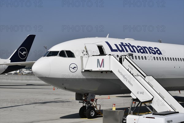 Parking Lufthansa aircraft on the east apron in front of Terminal 2