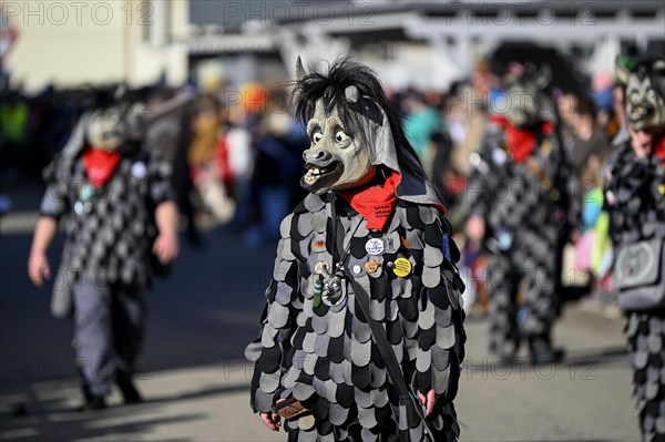 Fools Guild Keltereck-Esel from Wilferdingen at the Great Carnival Parade