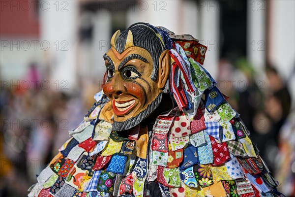 Schantle Fools' Guild from Horb am Neckar at the Great Carnival Parade