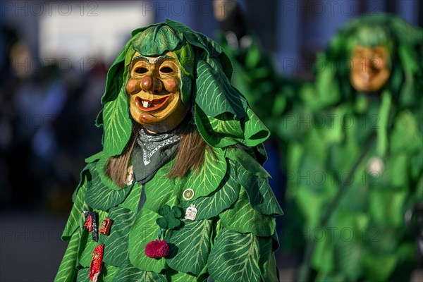 Narrenzunft Krutblaettsche from Kehl-Goldscheuer at the Great Carnival Parade