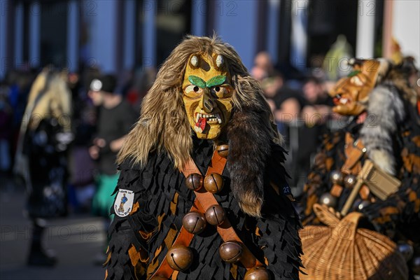 Fools Guild Meerettichdaemone from Urloffen at the Great Carnival Parade