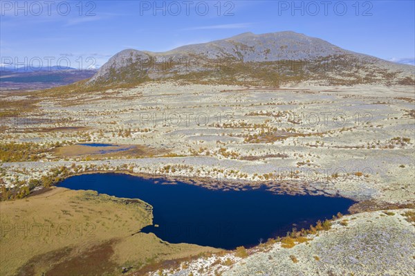 Aerial view over pond and the Norwegian tundra covered in reindeer lichen