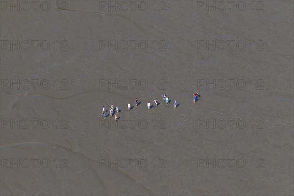 Aerial view over group of tourists walking with guide during guided tour on mudflat