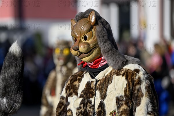 Miau guild from Freiburg at the big carnival procession