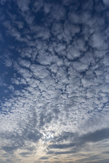 Altocumulus cloud