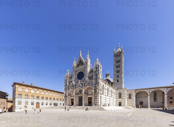 Siena Cathedral