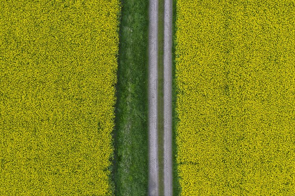 Aerial view over farmland with dirt road