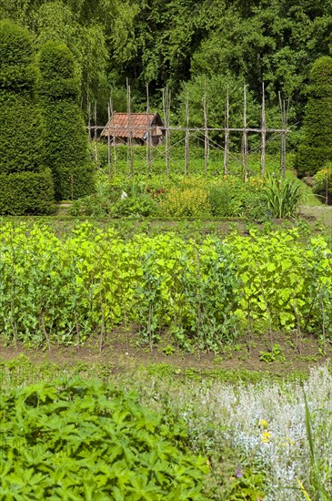 The Osnabrueck Farm in the Westphalian Open-Air Museum Detmold