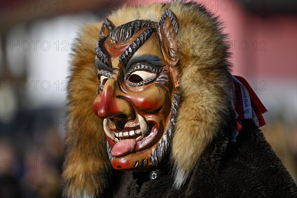 Fools Guild from Horb am Neckar at the Great Carnival Parade