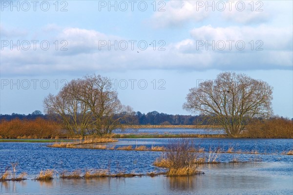 Flooded meadows near Tietjens Huette. District of Osterholz. Germany