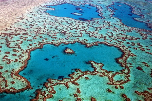 Aerial view of heart-shaped Heart Reef