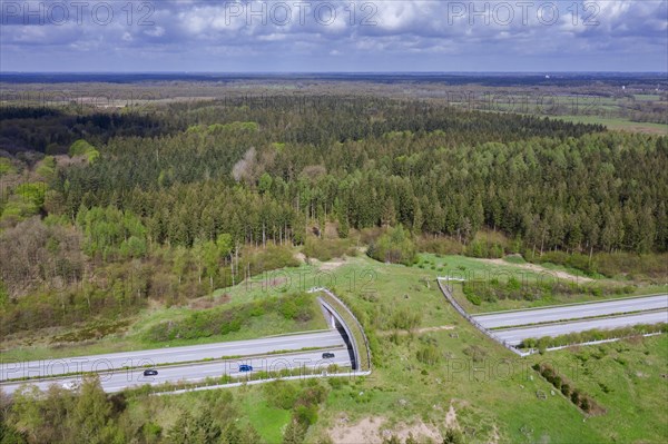 Aerial view over wildlife crossing