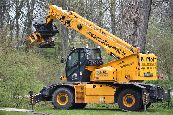 Tree felling with a felling crane in Vellmar