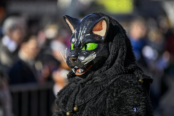 Narrenzunft Almenkutz vom St. Wendel from Oberkirch-Bottenau at the Great Carnival Parade