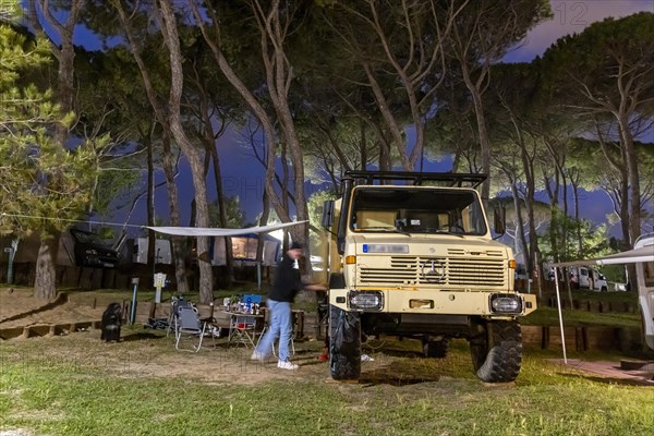 Camping under pine trees