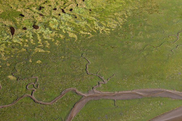 Aerial view over saltmarsh at low tide