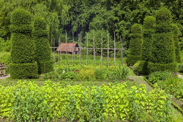 The Osnabrueck Farm in the Westphalian Open-Air Museum Detmold