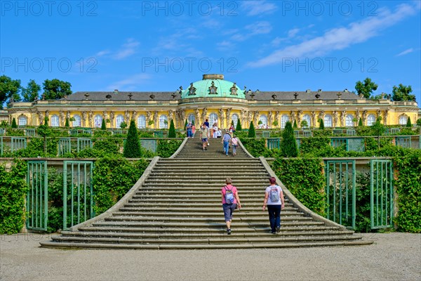 View over the vineyard terraces to Sanssouci Palace