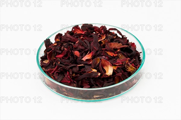 Hibiscus Blossom Tea
