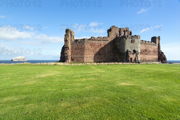 Bass Rock and ruined Tantallon Castle