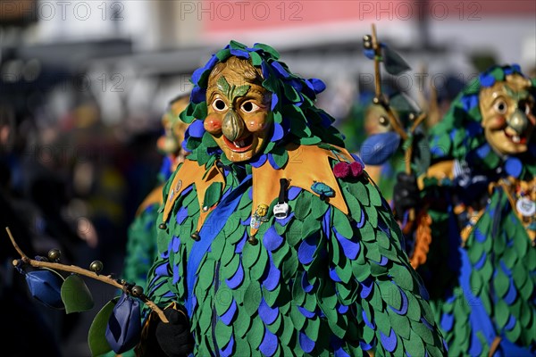 Fools Guild Pflaumendrucker from Schutterwald at the Great Carnival Parade