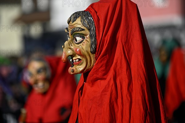 Fools Guild from Horb am Neckar at the Great Carnival Parade