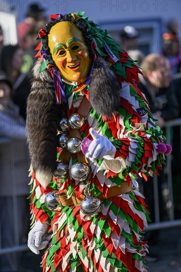 Fools Guild Meerettichdaemone from Urloffen at the Great Carnival Parade