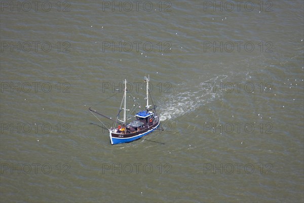 Shrimp boat fishing in the Wadden sea