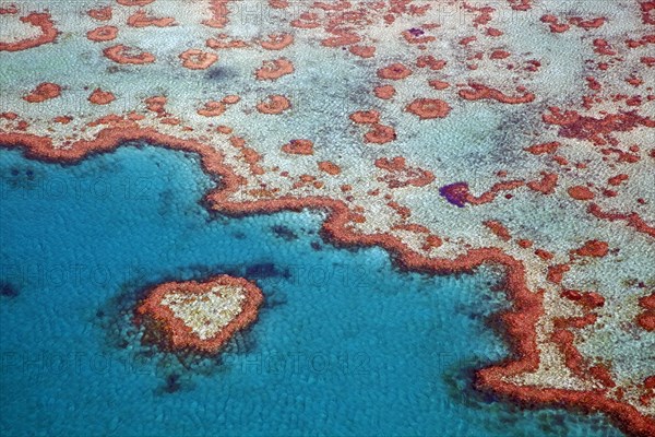 Aerial view of heart-shaped Heart Reef