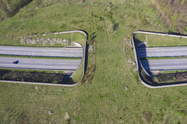 Aerial view over wildlife crossing