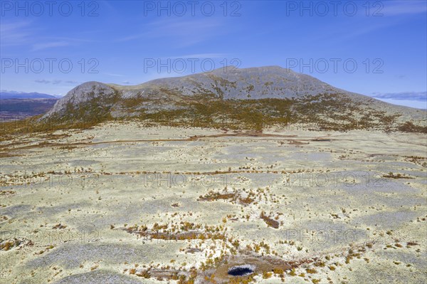 Aerial view over the Norwegian tundra covered in reindeer lichen