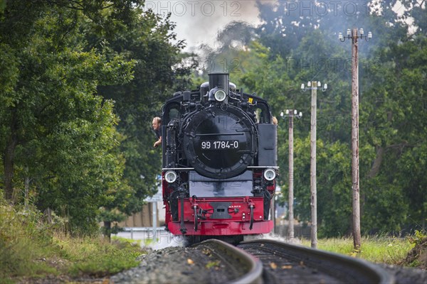 Rasender Roland steam locomotive 99 1784 on the Ruegen narrow-gauge railway