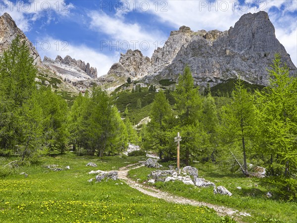 Passo di Falzarego