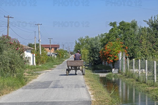Albanian man riding cart pulled by donkey in rural village in northern Albania in summer