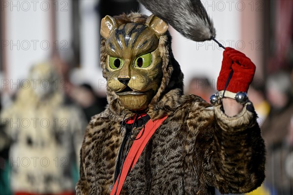 Miau guild from Freiburg at the big carnival procession