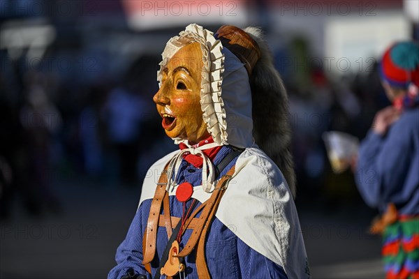 Schierbachnarren Fools Guild from Schabenhausen at the Great Carnival Parade