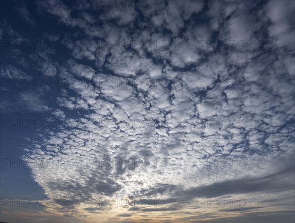 Sun behind sheep clouds