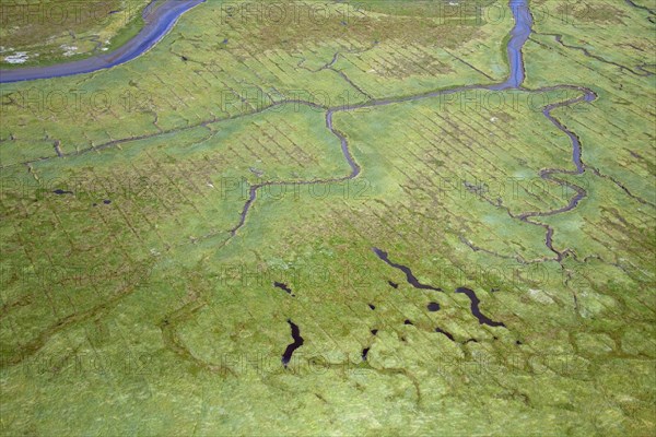 Aerial view over salt marsh of the Wadden Sea National Park