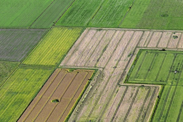 Aerial view over farmland showing tractor tracks in agricultural parcels