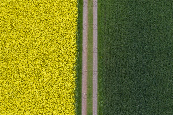 Aerial view over farmland with dirt road