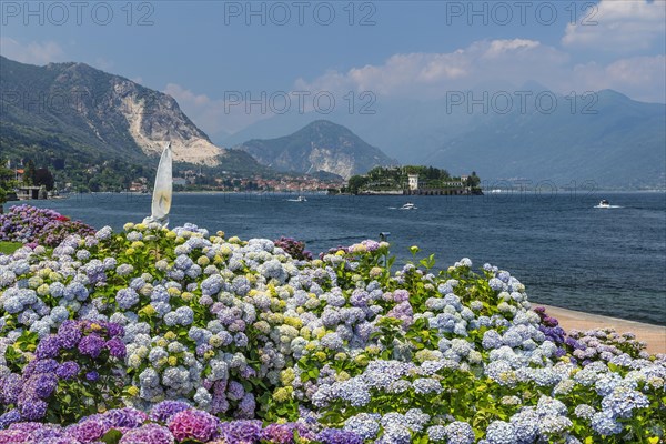 Lake promeande of Stresa with view to Isola Bella