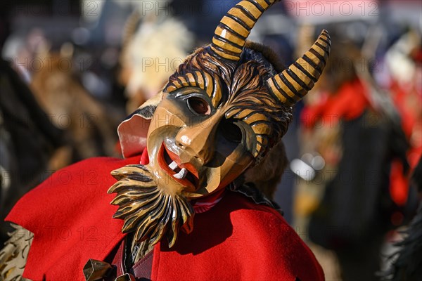 Geissentaeler Narrenzunft from Menzenschwand at the big carnival procession