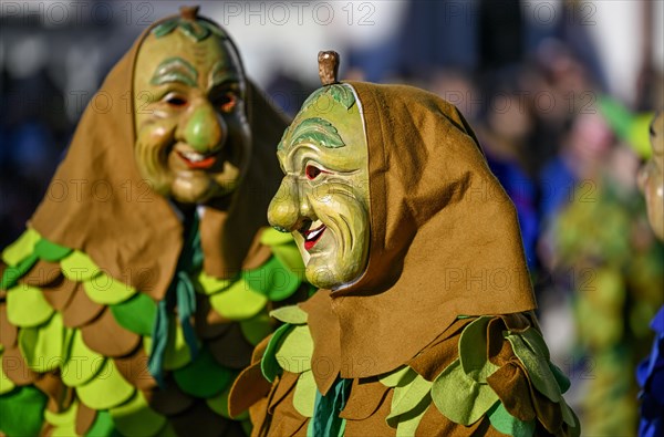 Narrenzunft Niesatzer Hurzle from Buehl-Niesatz at the Great Carnival Parade