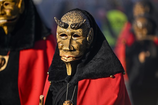 Narrenzunft Hoellteufel from Reichenbach at the big carnival procession