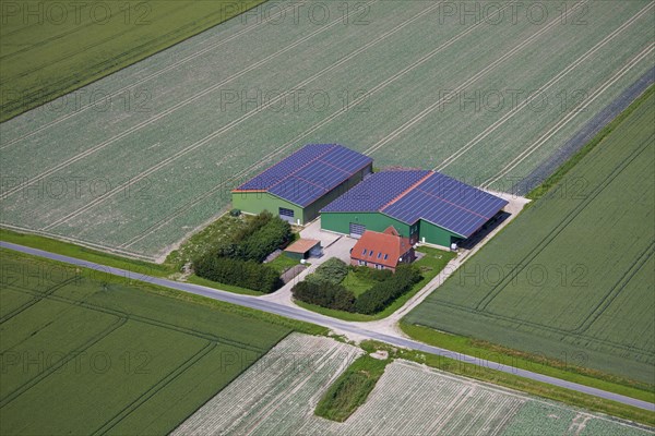 Aerial view over field and photovoltaic solar panels on roof of agricultural buildings of farm