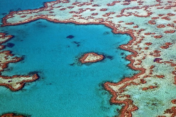 Aerial view of heart-shaped Heart Reef