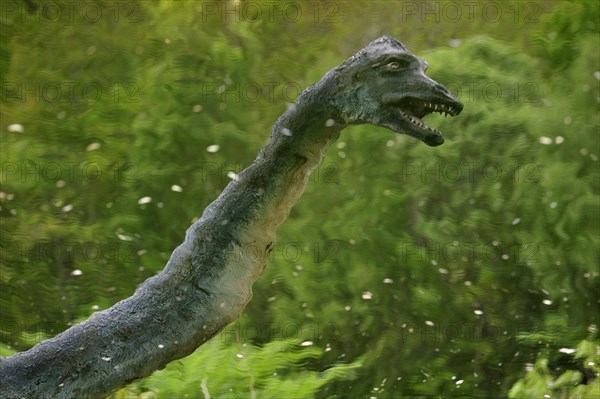 Reflection in pond of Nessie